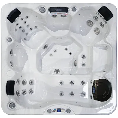 Avalon EC-849L hot tubs for sale in Downey