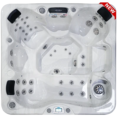 Avalon-X EC-849LX hot tubs for sale in Downey